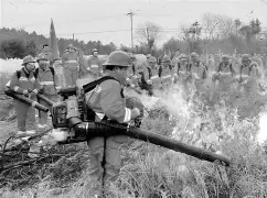 主帅应变能力突出，调整效果显著(主帅主将的区别)